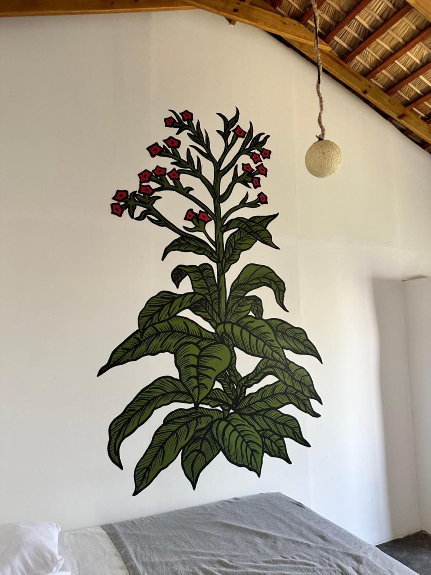 Kite House Cabarete Across Kite Beach Luaran gambar