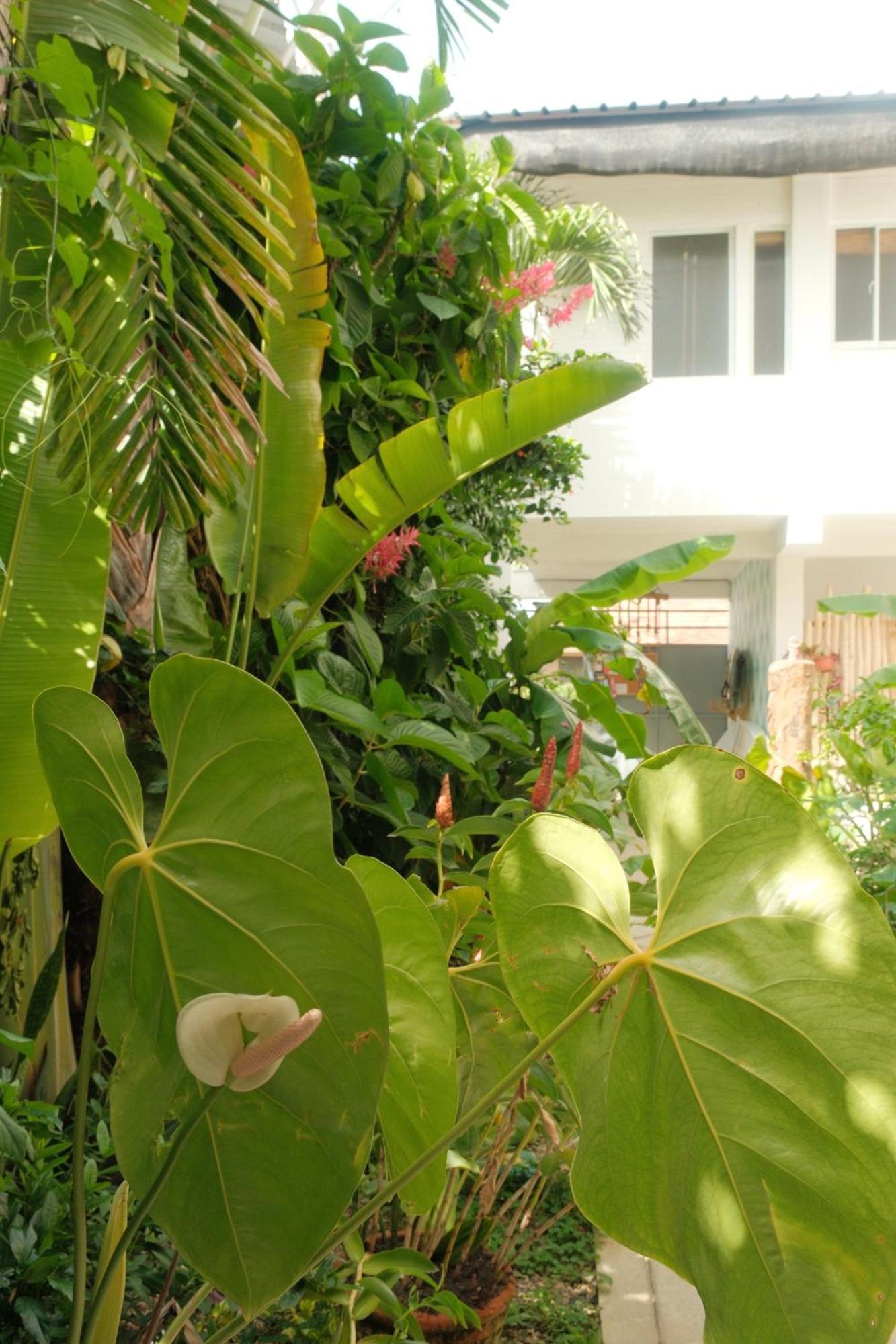 Kite House Cabarete Across Kite Beach Luaran gambar