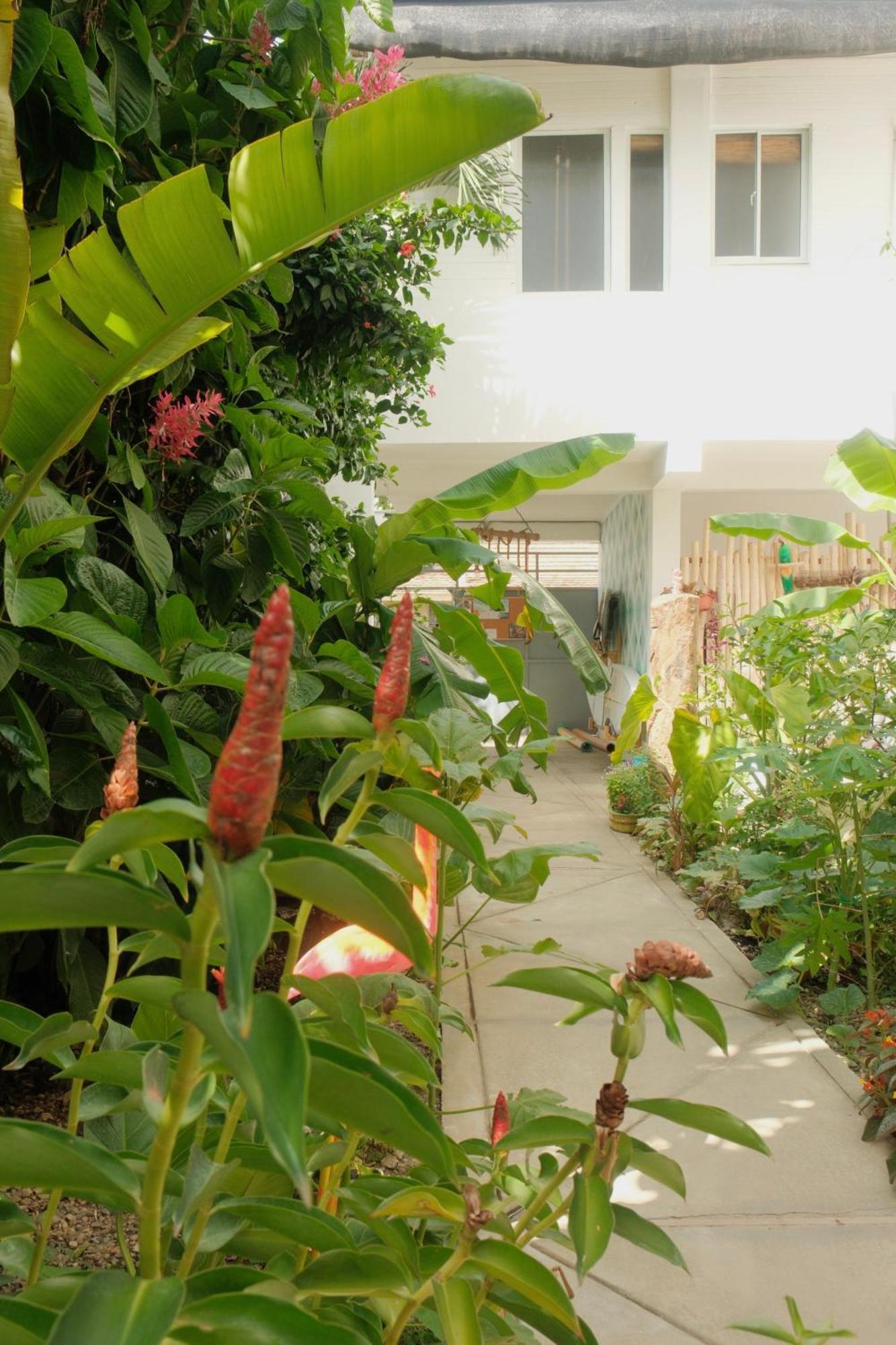 Kite House Cabarete Across Kite Beach Luaran gambar